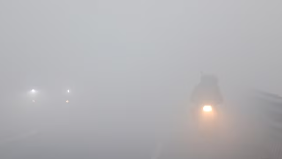 dense fog in delhi 